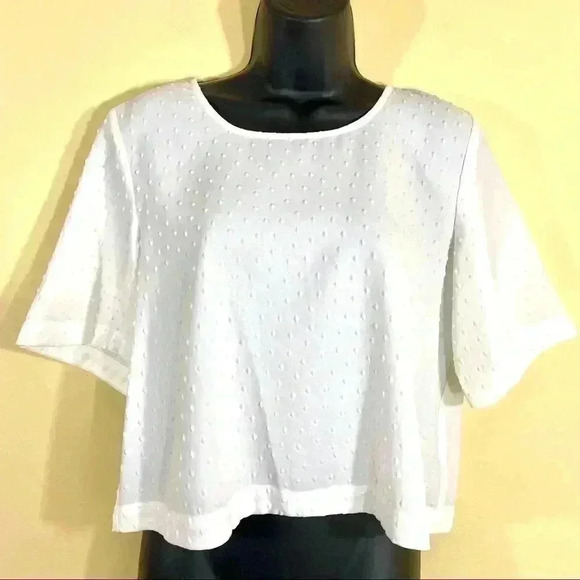 NWT Bar III White Textured Laser Cut Embroidered Diamond Cropped Blouse Size L - Picture 3 of 13